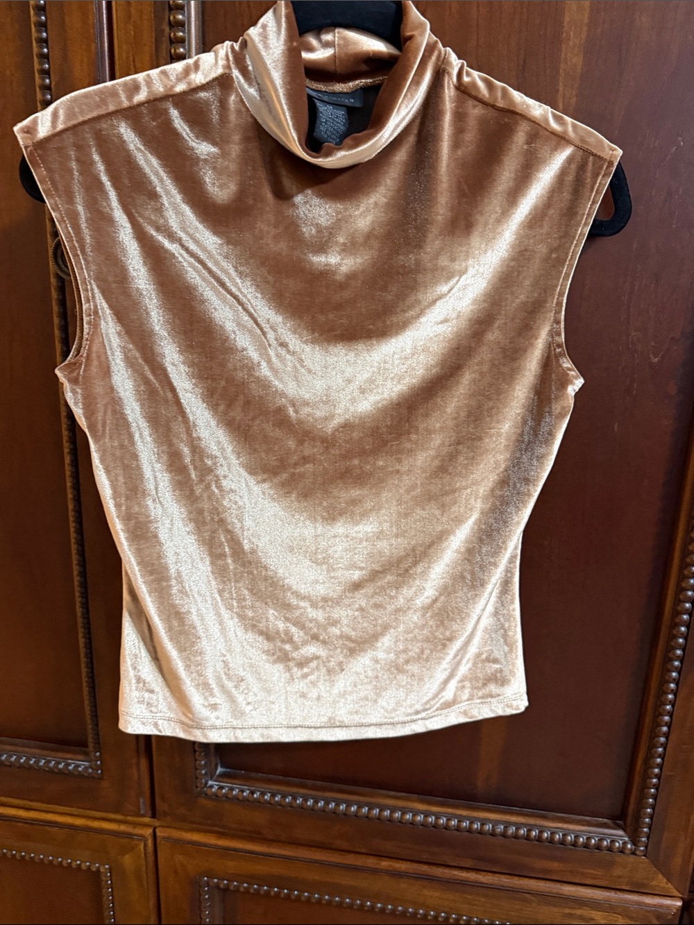 The Limited Sleeveless Velvet Turtleneck in Champagne Bronze